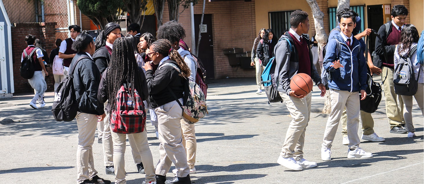 students socializing on school grounds